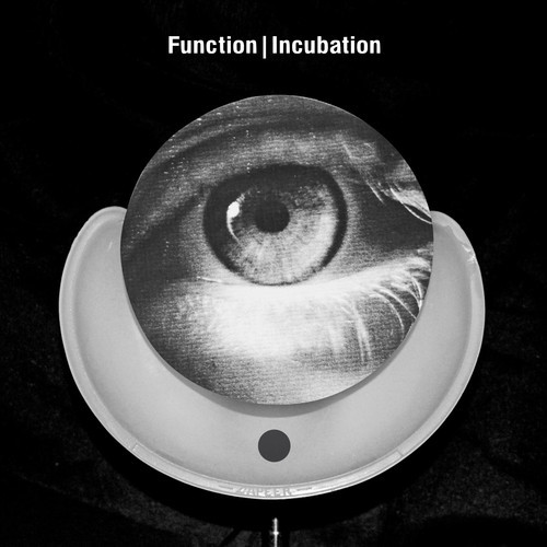 Function готов представить альбом Incubation