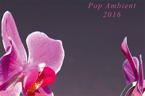 Pop Ambient 2016 от Kompakt