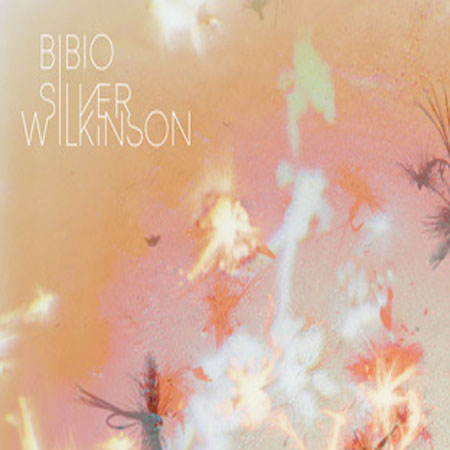 Bibio возвращается с альбомом Silver Wilkinson