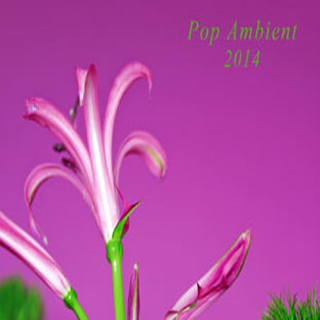 Kompakt анонсировал Pop Ambient 2014
